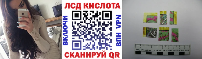 купить   Славгород  Марки NBOMe 1,8мг 