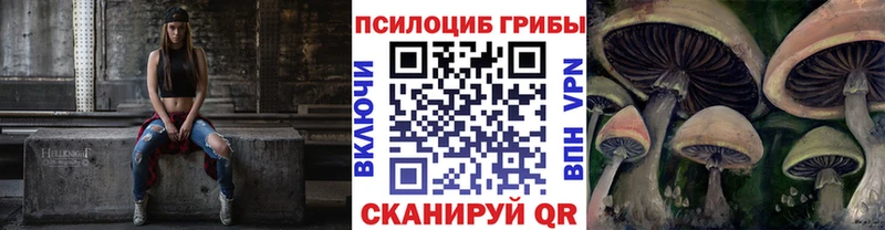 Галлюциногенные грибы GOLDEN TEACHER  купить  цена  Славгород 