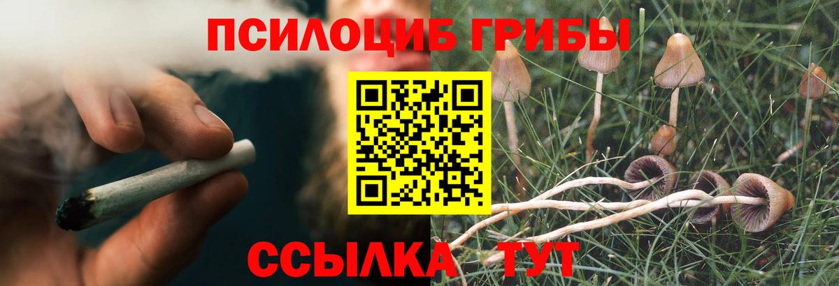 Галлюциногенные грибы Psilocybe  где можно купить   Славгород  Галлюциногенные грибы прущие грибы  Вход с VPN 
